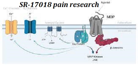 SR-17018 pain research
